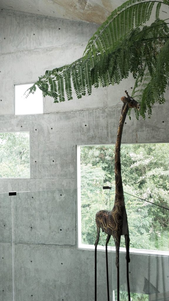Window House by Formzero