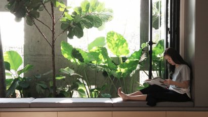 Window House by Formzero