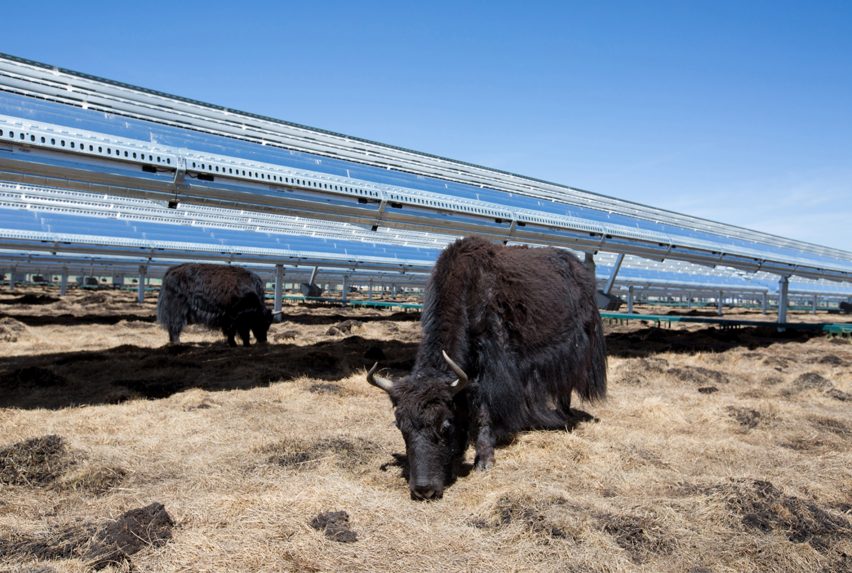 Apple now operating on 100 per cent renewable energy