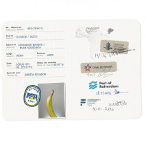 Icelandic Academy of the Arts graduates traced the global journey of a single banana from its originals to the store to show the complexity of the exportation process.
