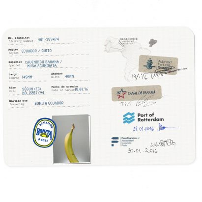 Icelandic Academy of the Arts graduates traced the global journey of a single banana from its originals to the store to show the complexity of the exportation process.