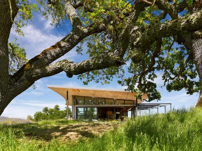 Caterpillar House by Feldman Architecture
