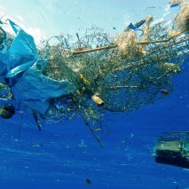 Plastic-eating enzyme could aid recycling 