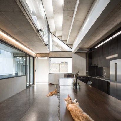 Fuzzy House by SO Architects