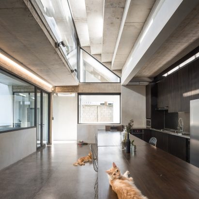 Fuzzy House by SO Architects