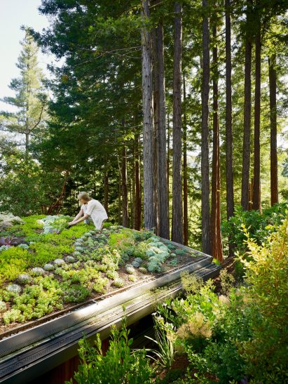Mill Valley Cabins by Feldman Architecture