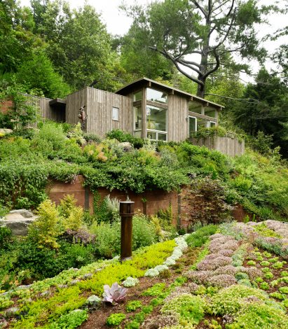 Mill Valley Cabins by Feldman Architecture