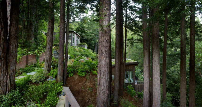 Mill Valley Cabins by Feldman Architecture