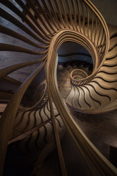 Atmos Studio's spiralling timber staircase features "leaf-like" stairs that emerge from a structural stem