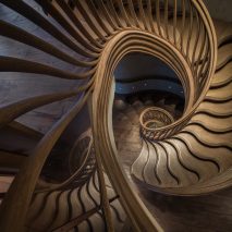 Atmos Studio's spiralling timber staircase features "leaf-like" stairs that emerge from a structural stem