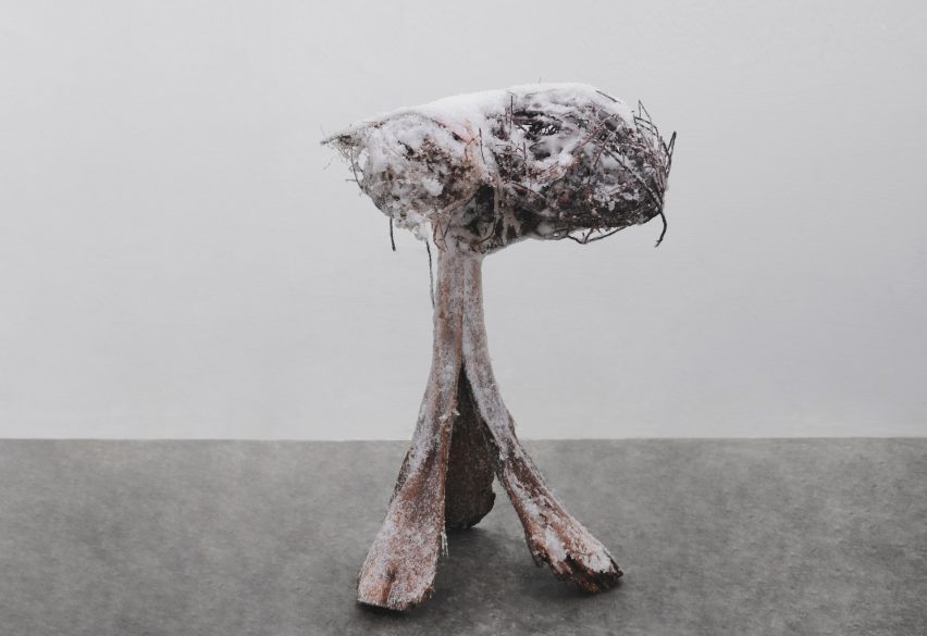 Erez Nevi Pana's vegan design ethic is "guilt free" from process to product