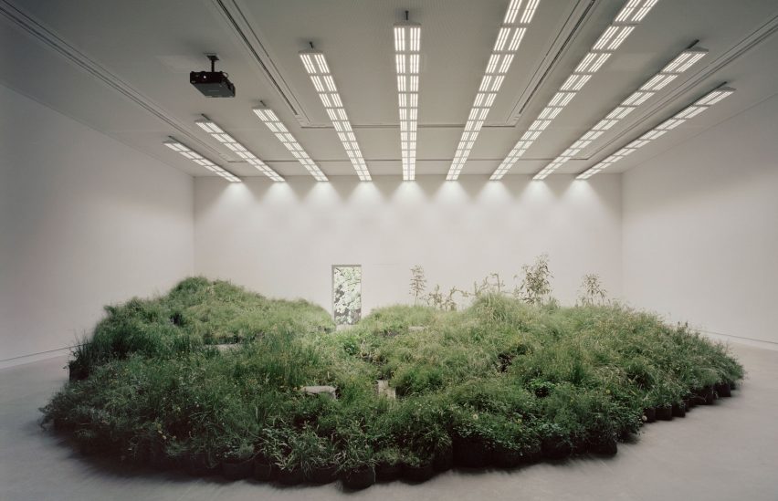 Over 10,000 plants used to create grassland inside Australian Pavilion
