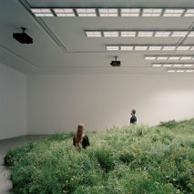 Over 10,000 plants used to create grassland inside Australian Pavilion