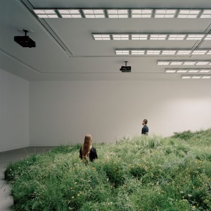 Over 10,000 plants used to create grassland inside Australian Pavilion