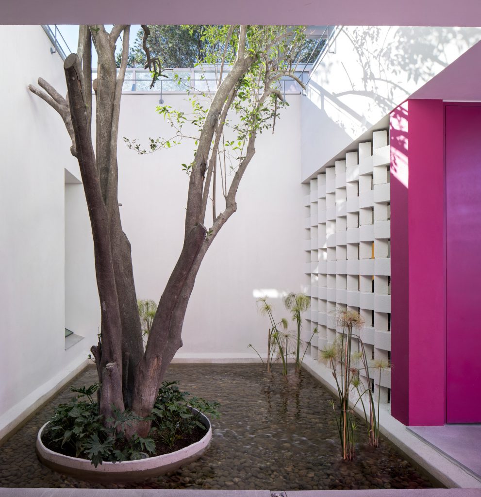 Casa TEC 205 by Moneo Brock Studio