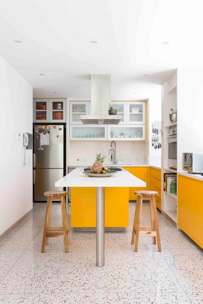 MMS House by Pascali Semerdjian Arquitetos