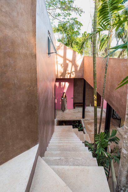 Portico Palmeto by Taco