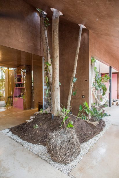 Portico Palmeto by Taco