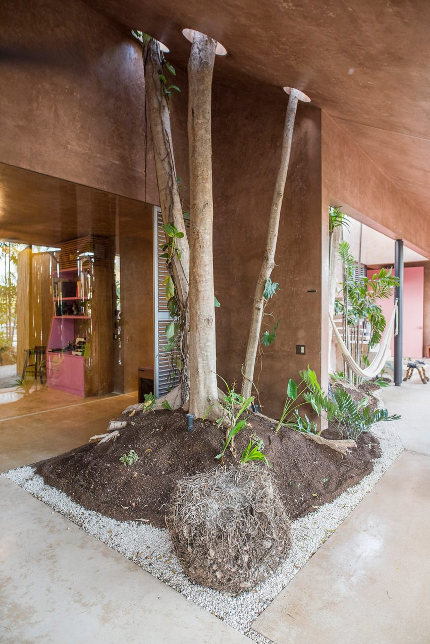 Portico Palmeto by Taco