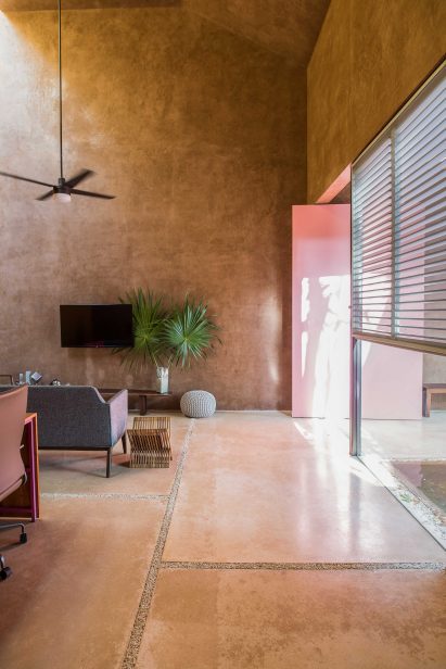 Portico Palmeto by Taco