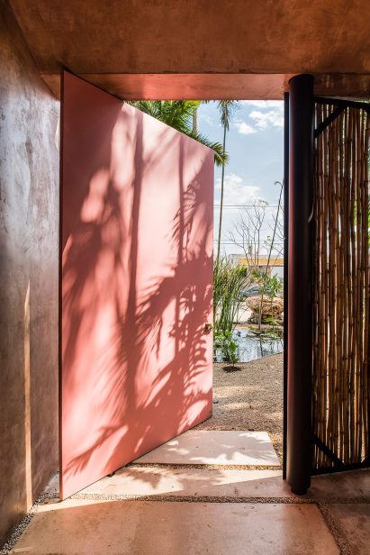 Portico Palmeto by Taco