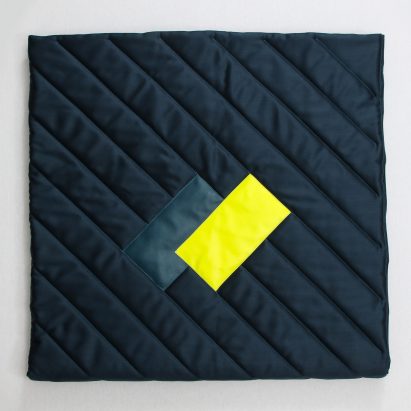 Field Studies by Sight Unseen