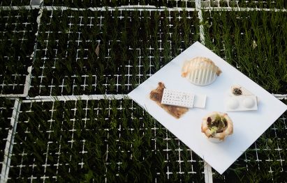 Roza Janusz creates sustainable food packaging that grows like a vegetable