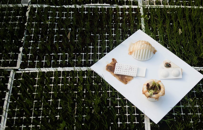 Roza Janusz creates sustainable food packaging that grows like a vegetable