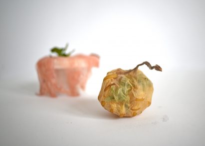 Roza Janusz creates sustainable food packaging that grows like a vegetable