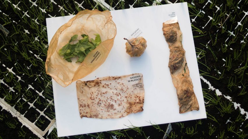 Roza Janusz creates sustainable food packaging that grows like a vegetable