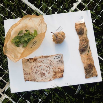 Roza Janusz creates sustainable food packaging that grows like a vegetable