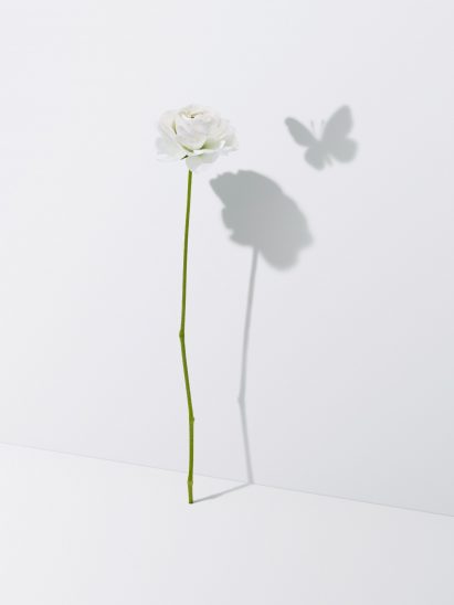 Sony explores future of sensor technology in the home with Hidden Senses exhibition
