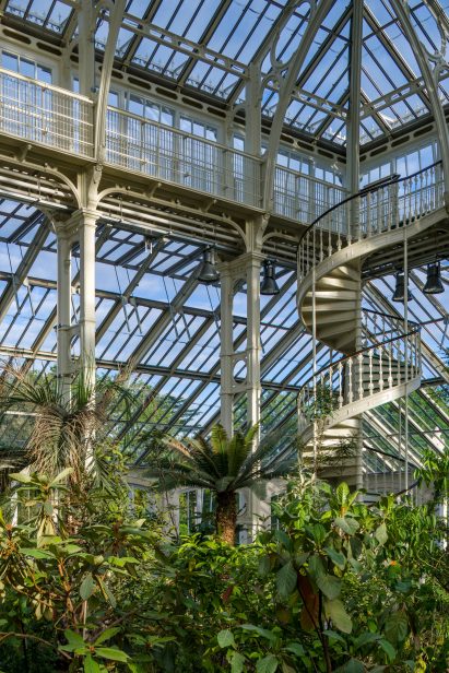 Temperate House Kew Gardens restoration by Donald Insall Associates