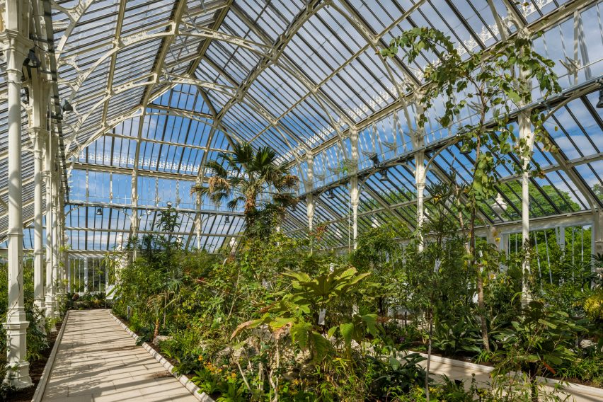 Temperate House Kew Gardens restoration by Donald Insall Associates