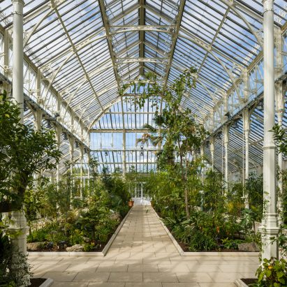 Temperate House Kew Gardens restoration by Donald Insall Associates