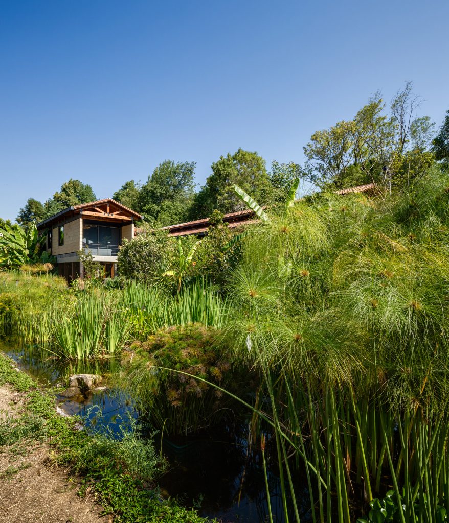 Wetlands by TARR