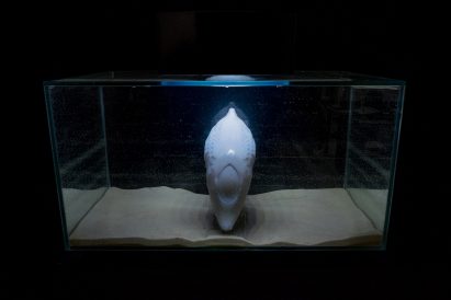 RCA graduates design robotic devices to help animals survive extinction