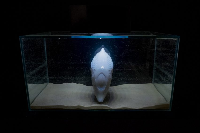 RCA graduates design robotic devices to help animals survive extinction