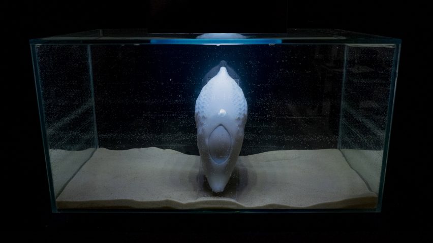 RCA graduates design robotic devices to help animals survive extinction