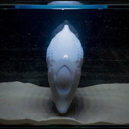 RCA graduates design robotic devices to help animals survive extinction