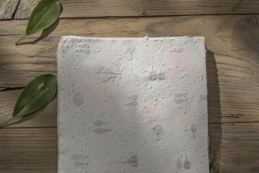 Bee-saving paper