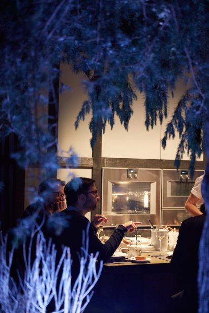 Gaggenau installation