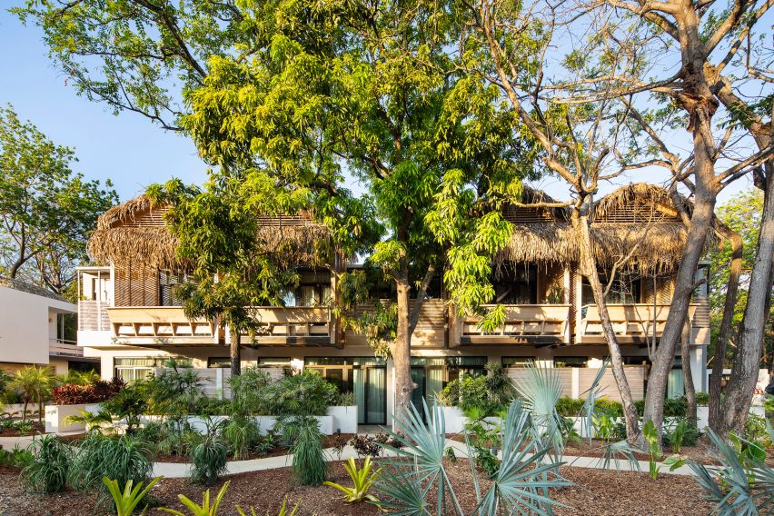 Gilded Iguana Hotel by Studio Saxe