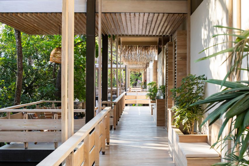 Gilded Iguana Hotel by Studio Saxe