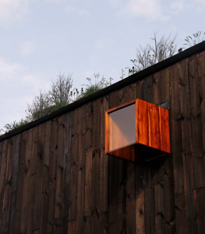 House on the Mist by Alfonso Arango