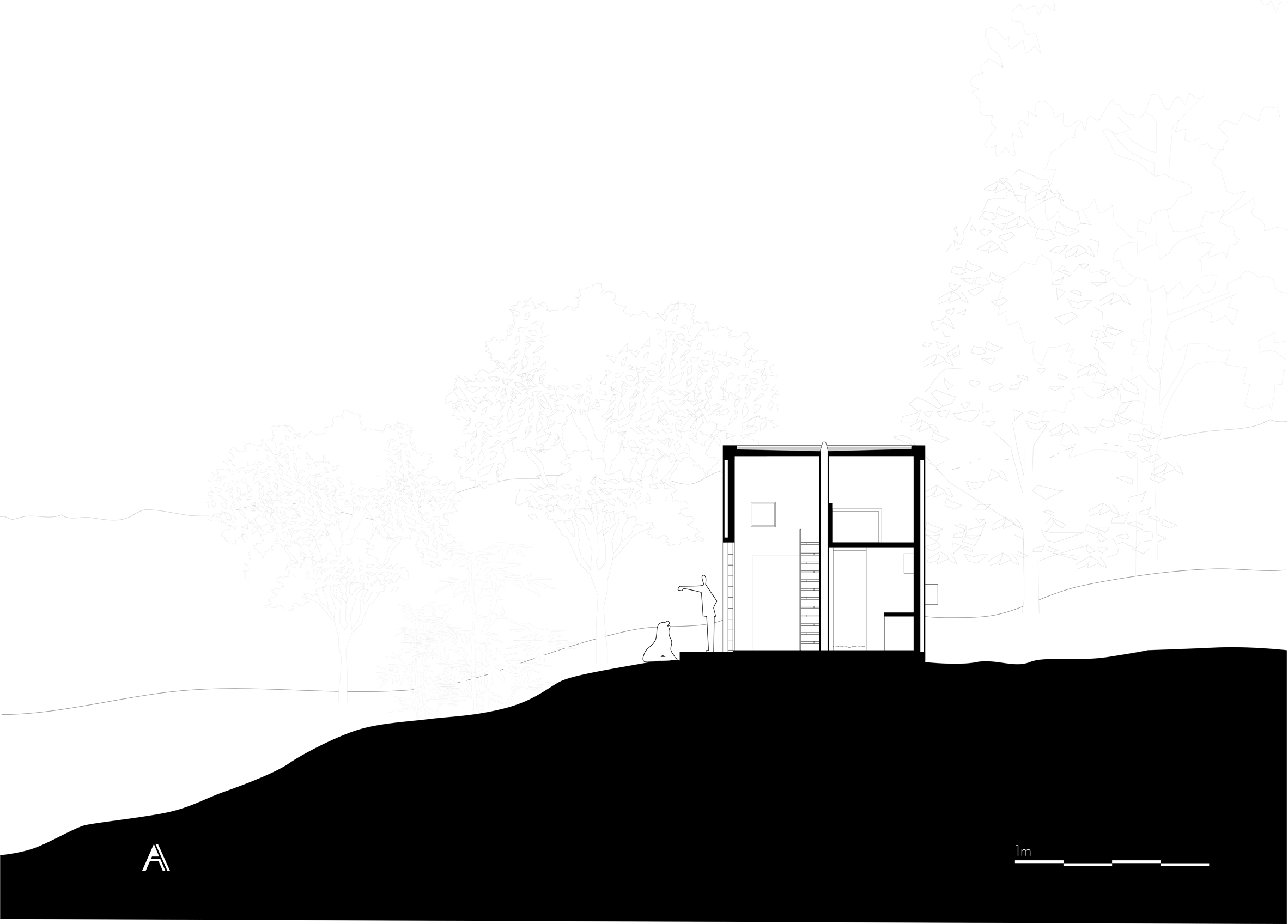 House on the Mist by Alfonso Arango