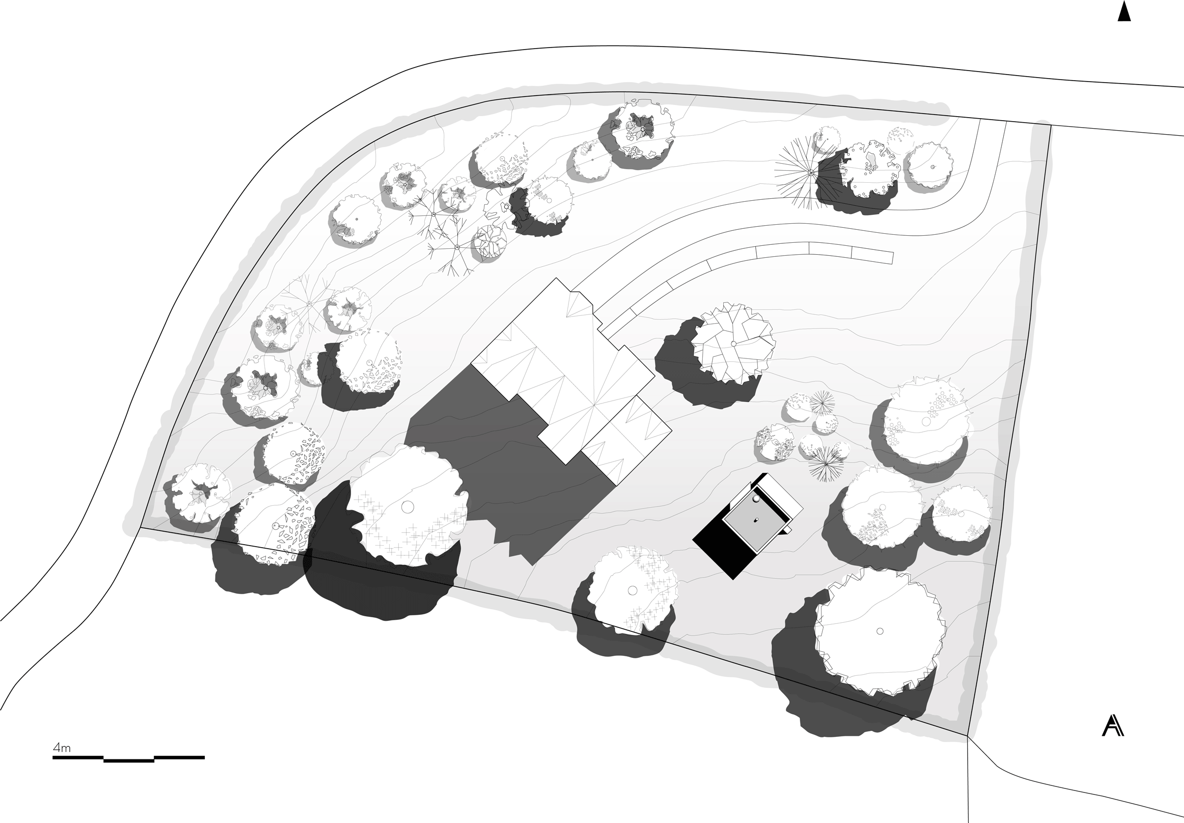 House on the Mist by Alfonso Arango