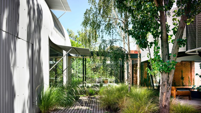 King Bill house by Austin Maynard Architects