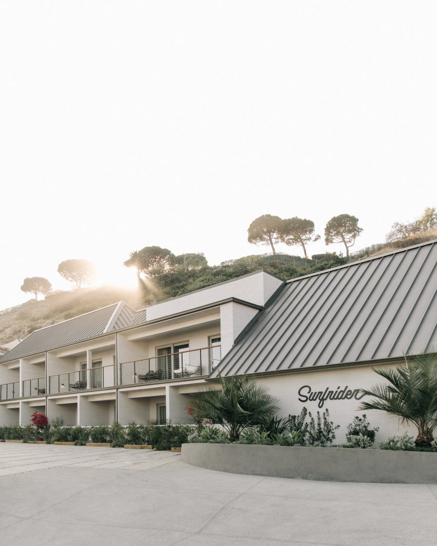 The Surfrider