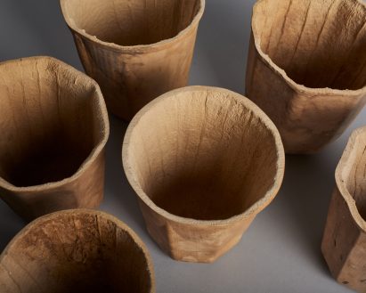 Crème creates plastic cup alternative from gourds